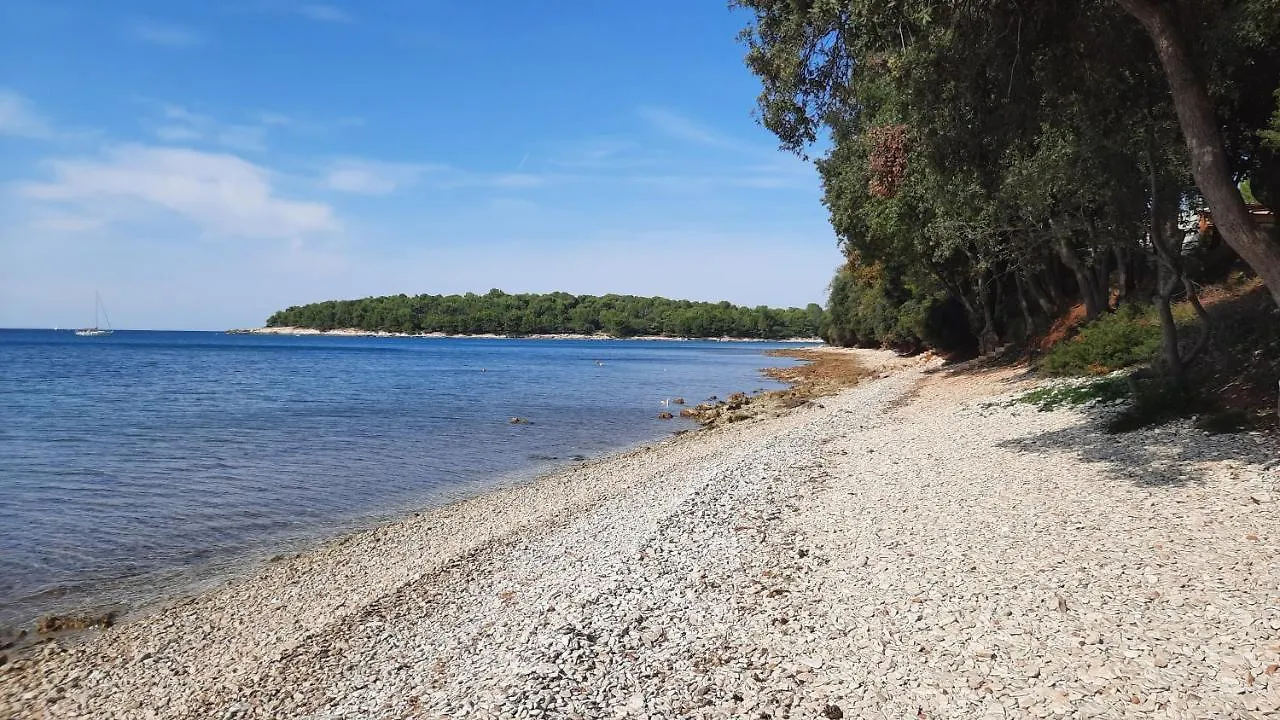 Apartment Vito & Maria Eco Friendly Accommodation Banjole Croatia