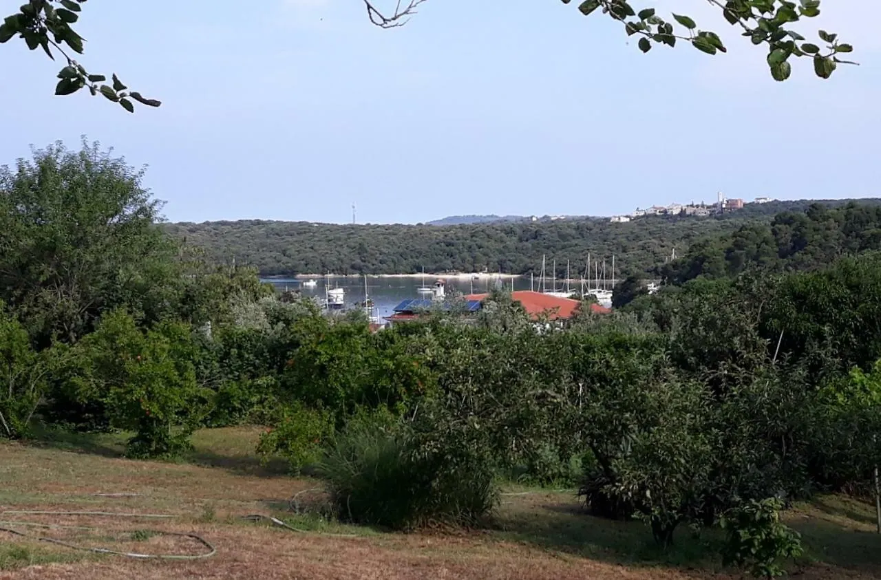 Apartment Vito & Maria Eco Friendly Accommodation Banjole